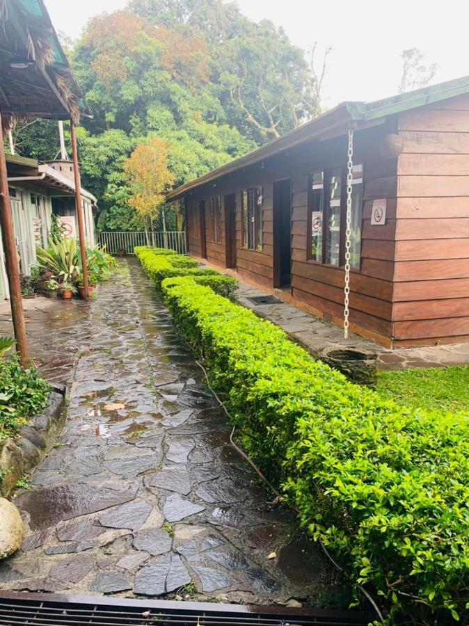 Hotel Quetzal Inn Монте-Верде Экстерьер фото