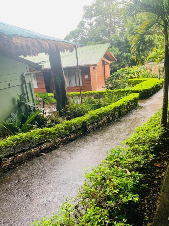 Hotel Quetzal Inn Монте-Верде Экстерьер фото