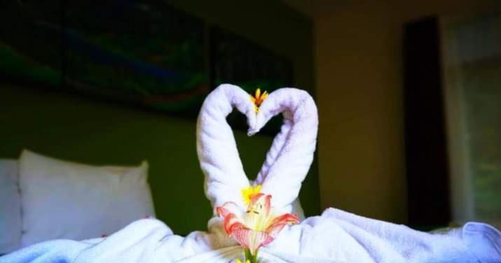 Hotel Quetzal Inn Монте-Верде Экстерьер фото